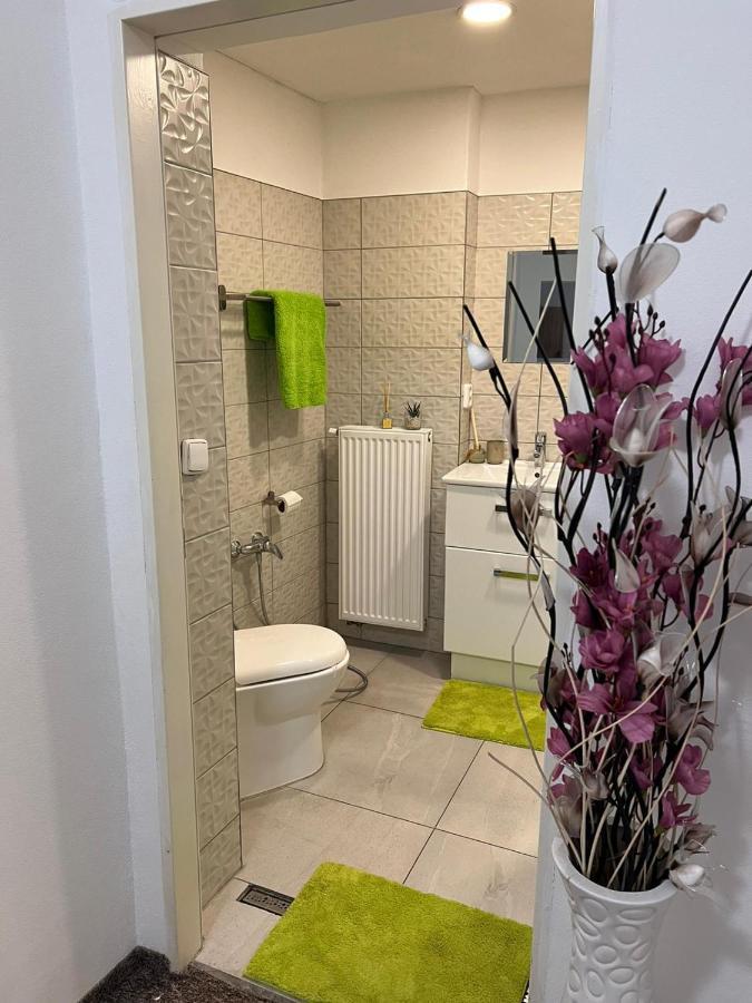 Thermal Apartments テプリツェ エクステリア 写真
