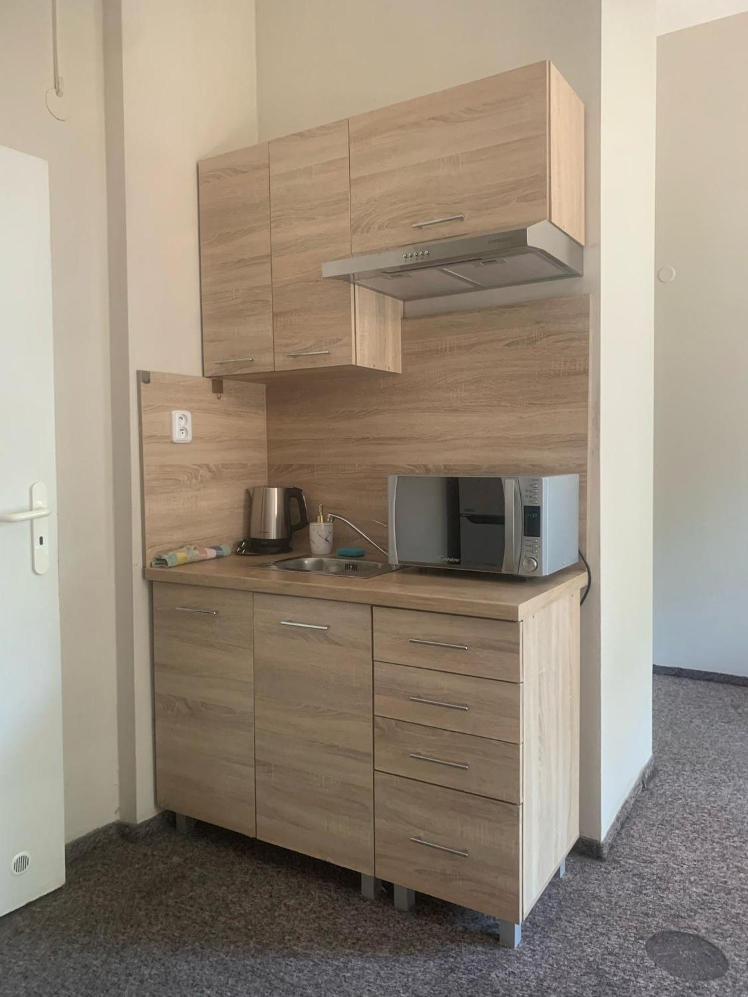 Thermal Apartments テプリツェ 部屋 写真