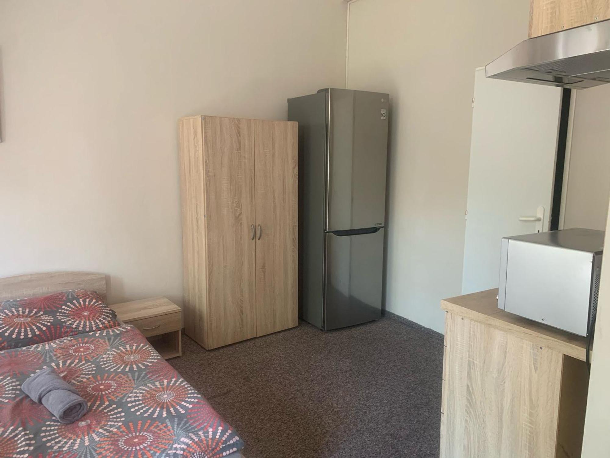 Thermal Apartments テプリツェ 部屋 写真